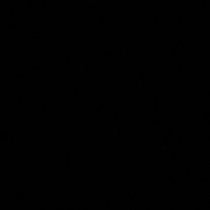 Meet your Posher, Donte